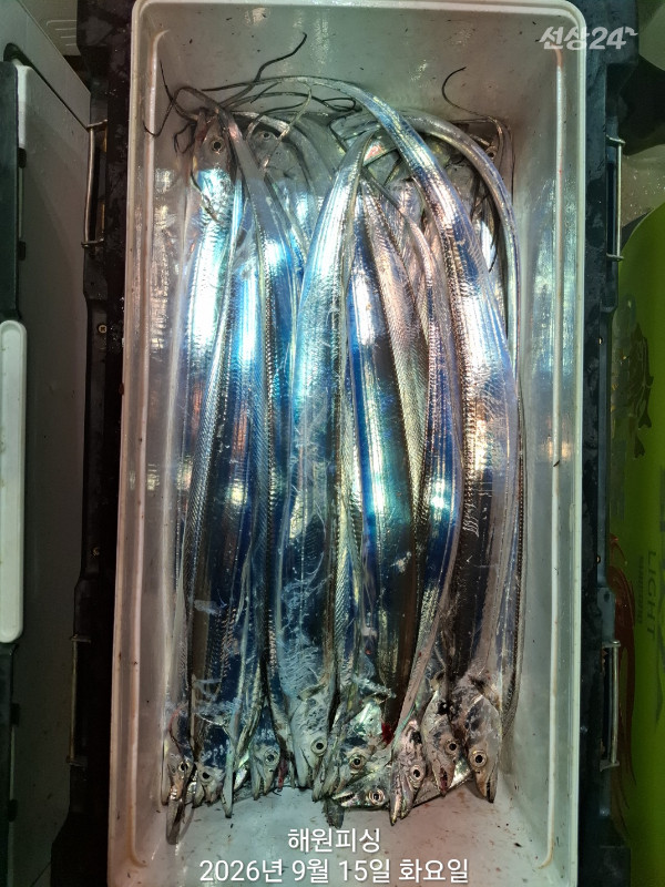 1000036712.jpg