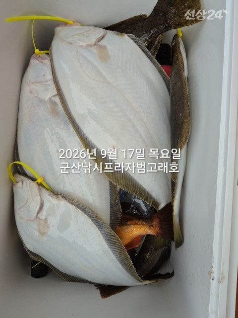 KakaoTalk_20260917_160219123.jpg