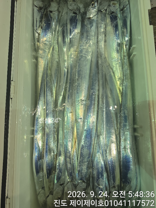 1000055598.jpg