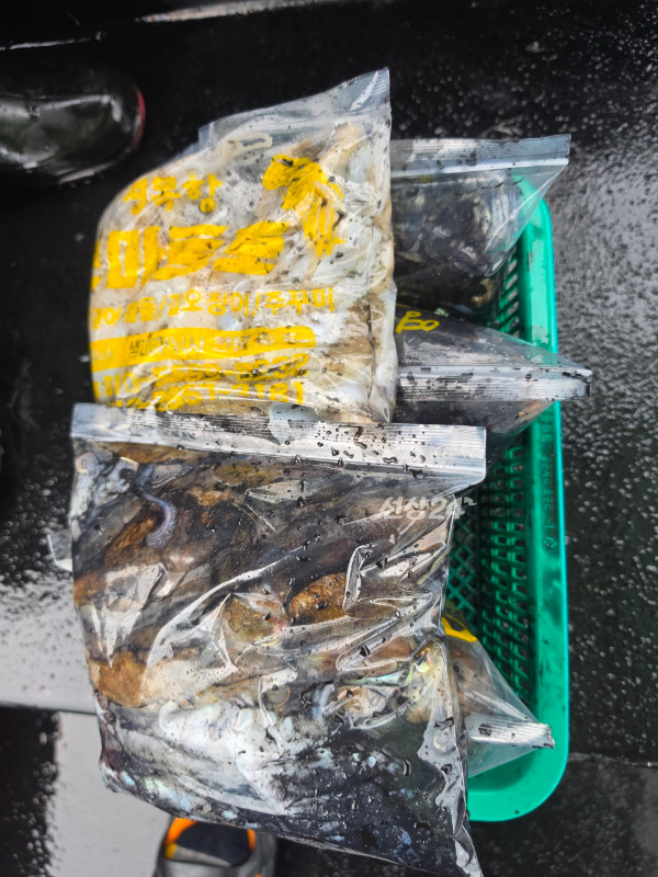 KakaoTalk_20260925_182829599.jpg