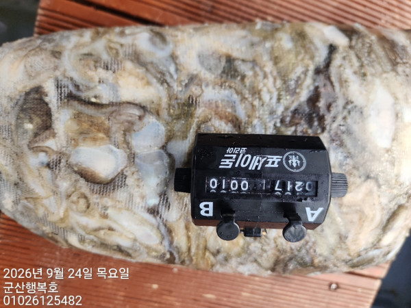 군산행복호_사진_20260924_5.jpg