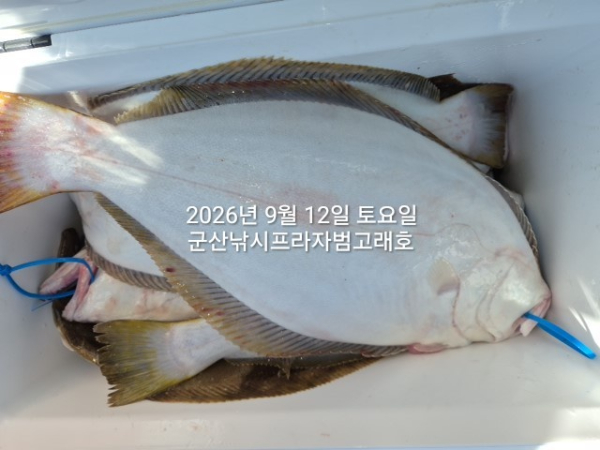 KakaoTalk_20260912_145049717_01.jpg