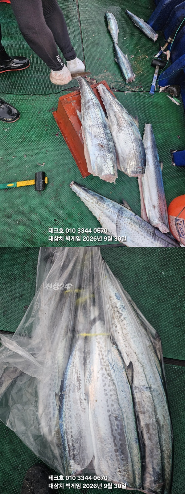 KakaoTalk_20260930_182358869-vert.jpg