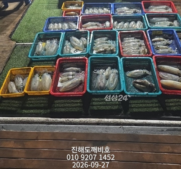 8637.jpg