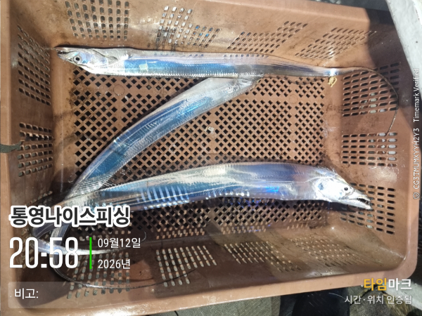 2026-09-12 20.58.12__(통영나이스피싱)_(비고-).jpg