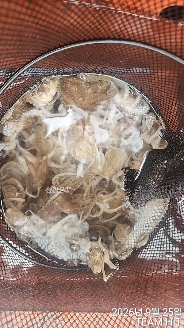 1000060607.jpg