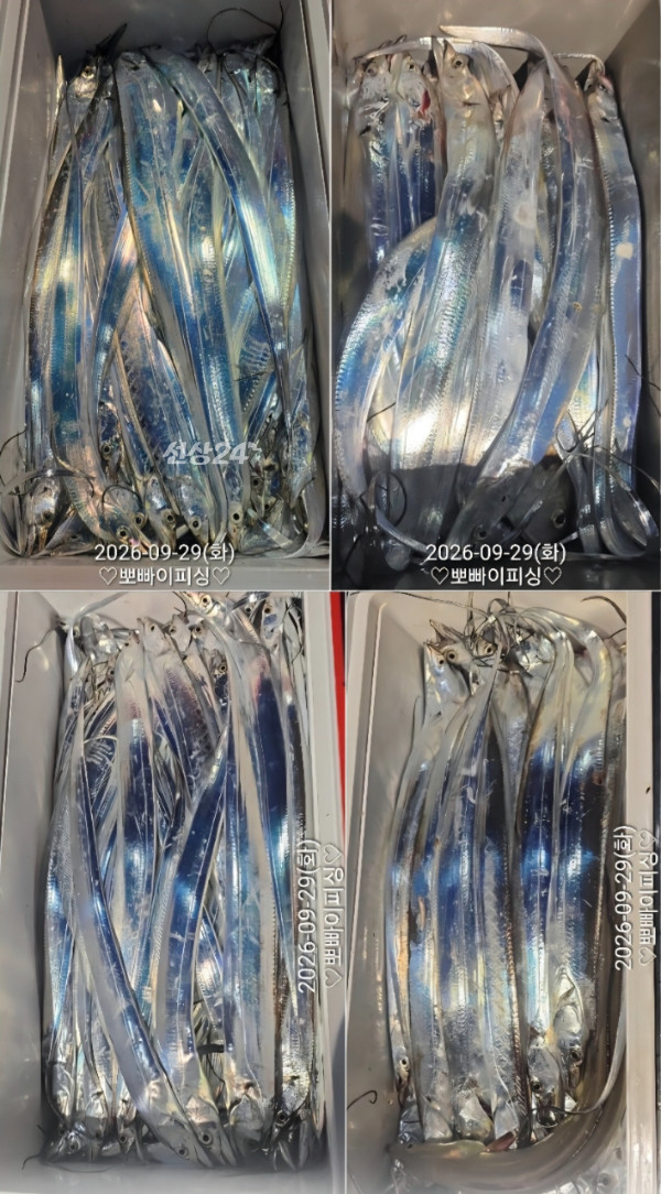 1000118424.jpg