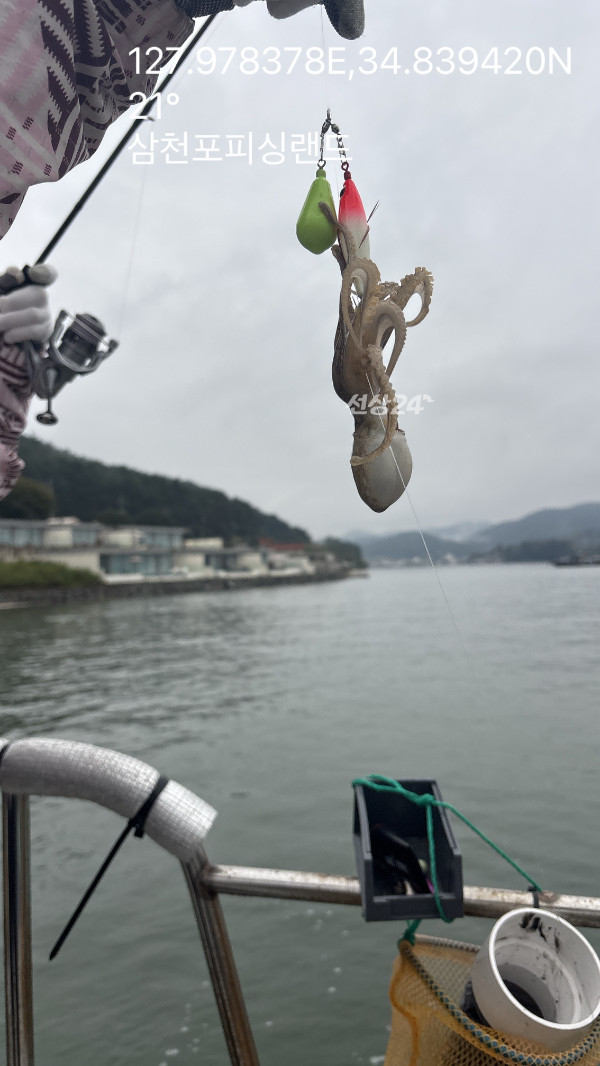 IMG_6136.jpeg