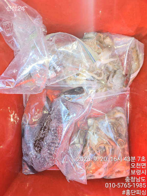 KakaoTalk_20260920_194229622_02.jpg