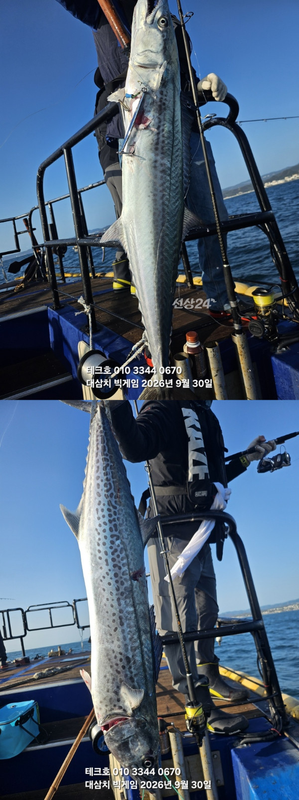 KakaoTalk_20260930_081926511_04-vert.jpg