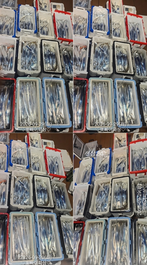 1000118430.jpg