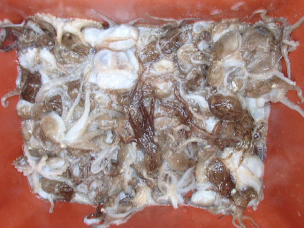 114.JPG