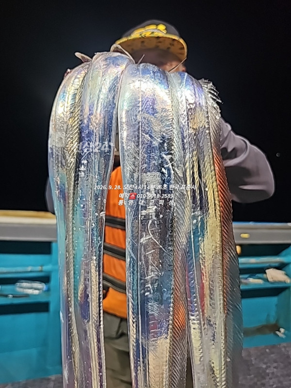 BandPhoto_2026_09_28_12_26_49_11.jpg