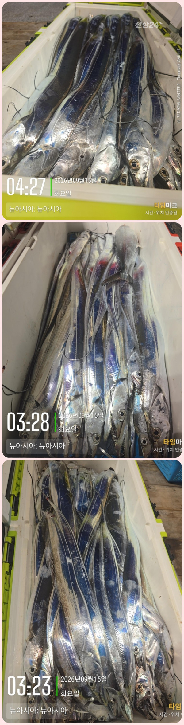 KakaoTalk_20260915_075417688_22-down.jpg