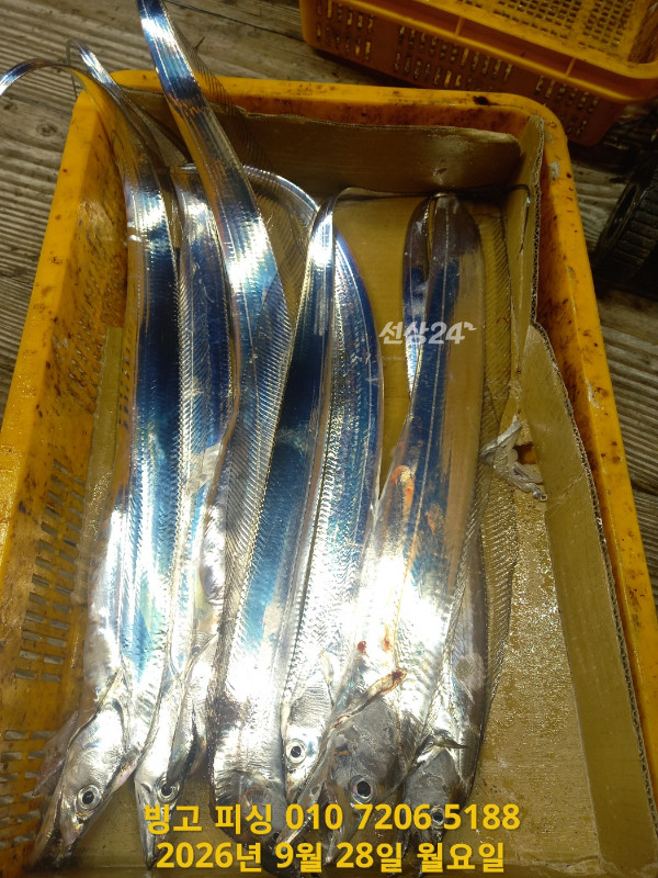 KakaoTalk_20260928_115813965_03.jpg