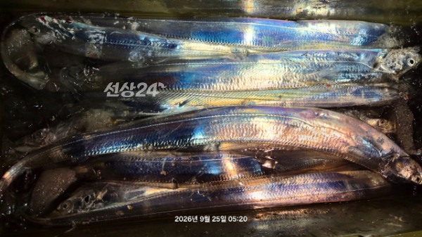 1004피싱_사진_20260925_6.jpg