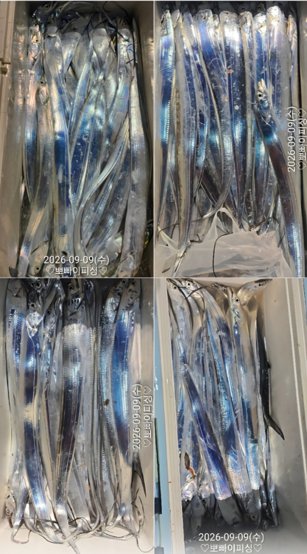 1000114768.jpg