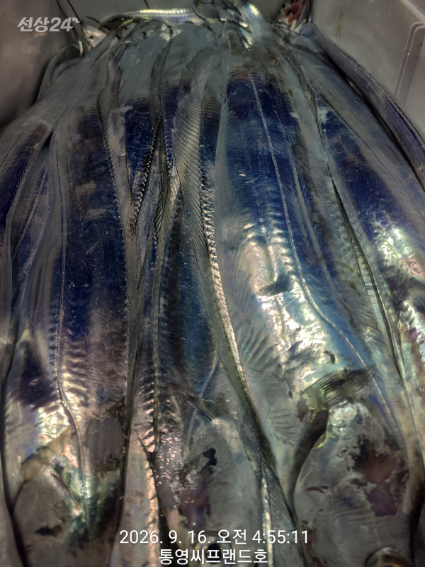 1789510263850.jpg
