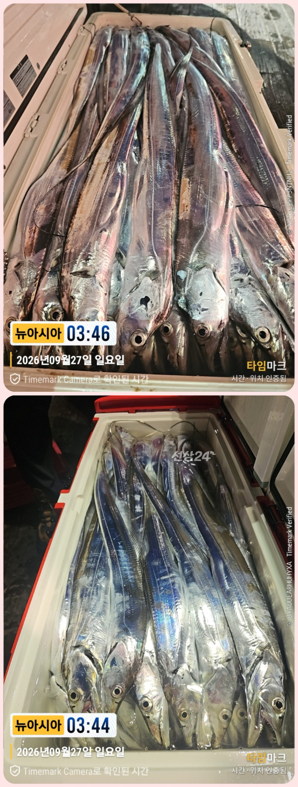 KakaoTalk_20260927_083449525_04-down.jpg