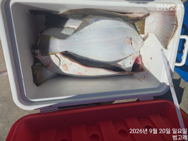 KakaoTalk_20260920_154419933_06.jpg
