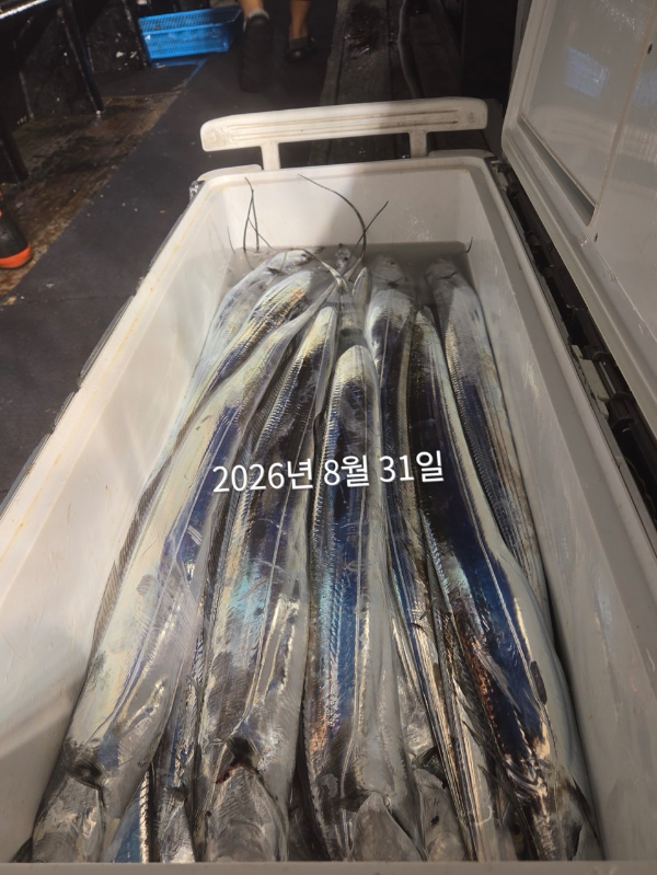 D726DABC-E875-4D53-97E7-C9C626B11A69.jpeg