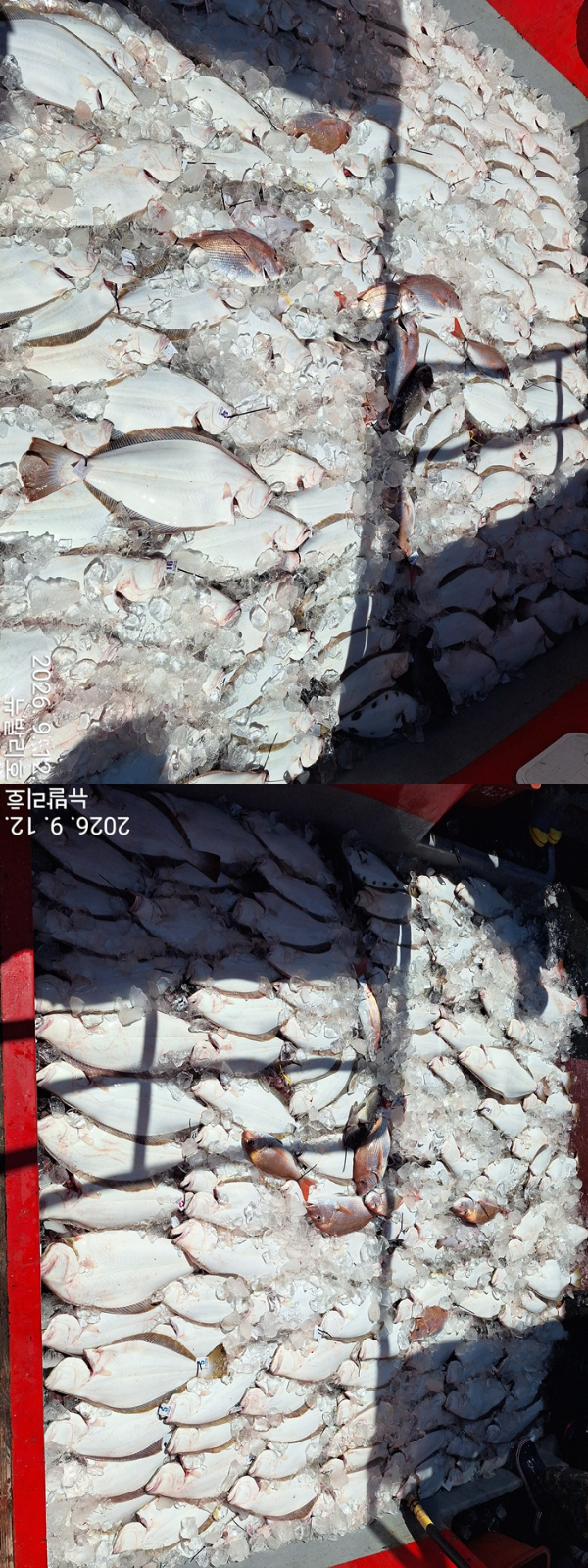 KakaoTalk_20260912_180134346_18-vert111111111111.jpg