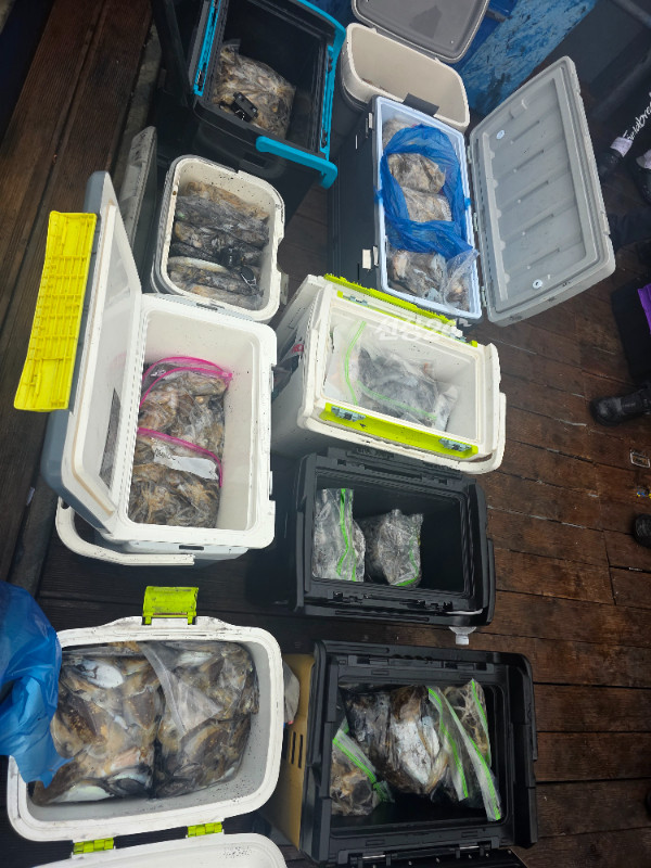20260924_164919.jpg