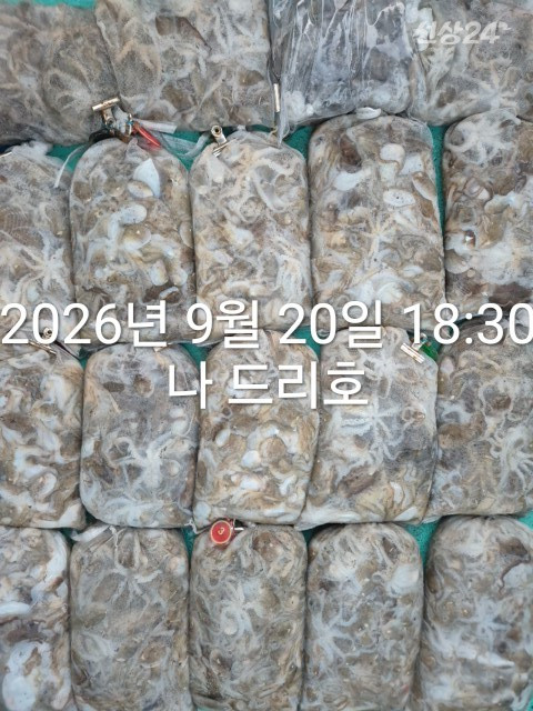 KakaoTalk_20260920_192144674_01.jpg