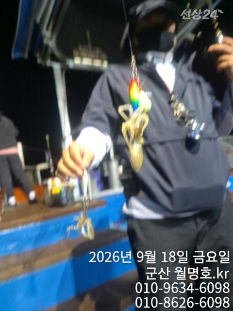 16115.jpg