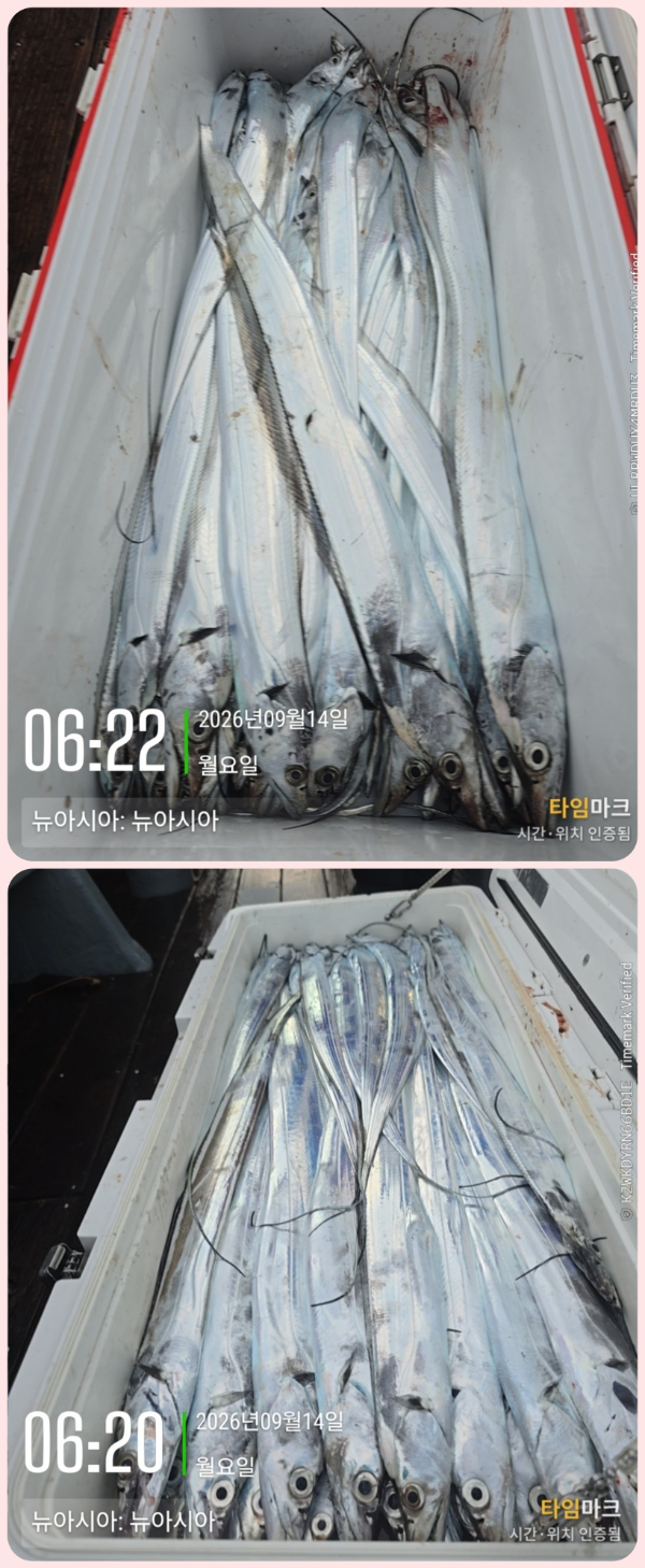 KakaoTalk_20260914_070157915_23-down.jpg