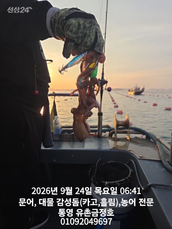 1000061167.jpg