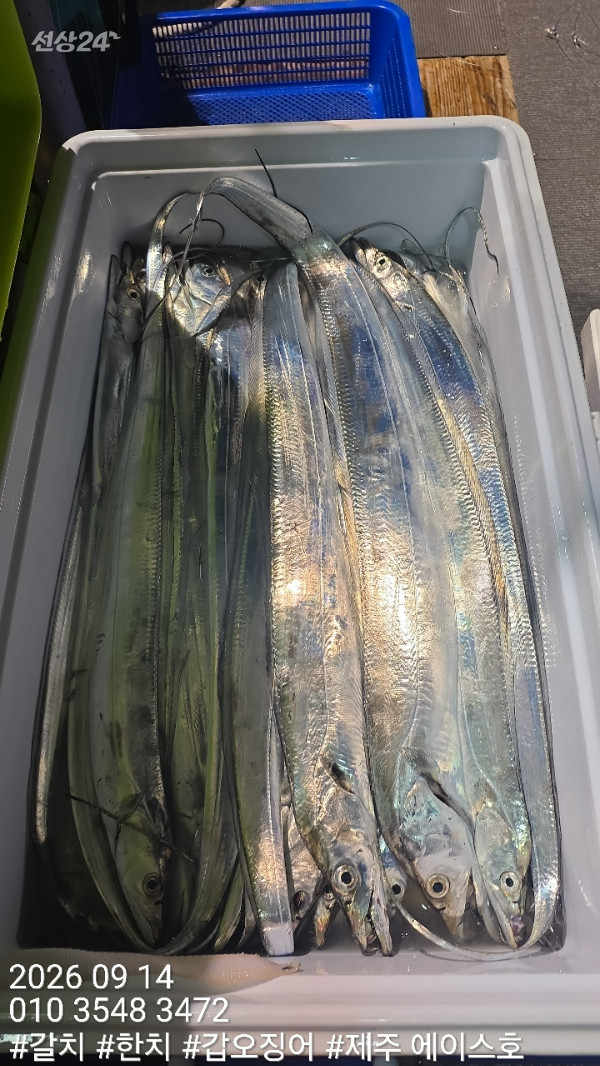 KakaoTalk_20260914_102248445_12.jpg