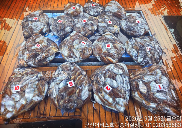 1000030619.jpg