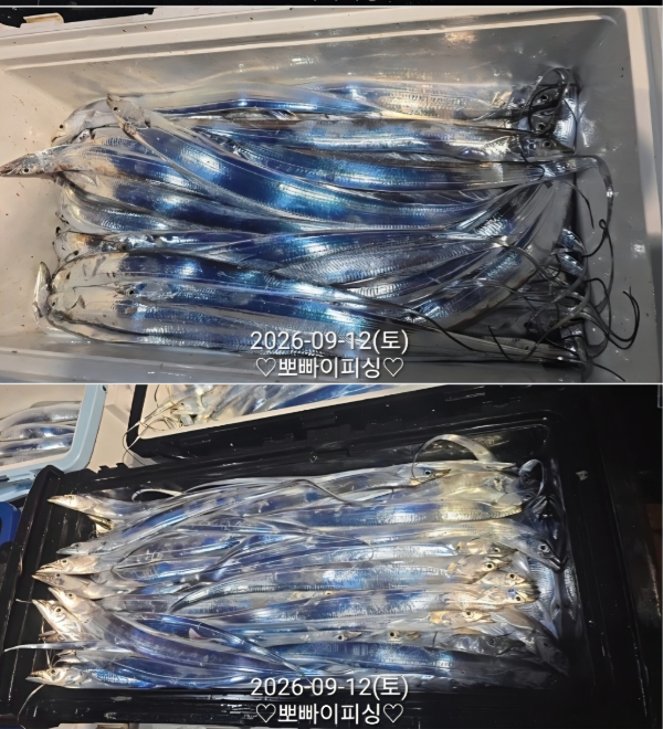 1000115443.jpg
