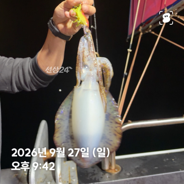 신신낚시 강구점 신신호_사진_20260928_9.jpg