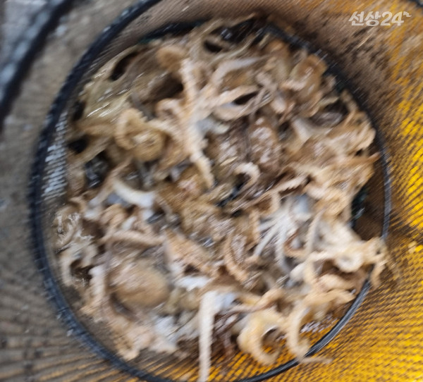 KakaoTalk_20260914_203811246.jpg