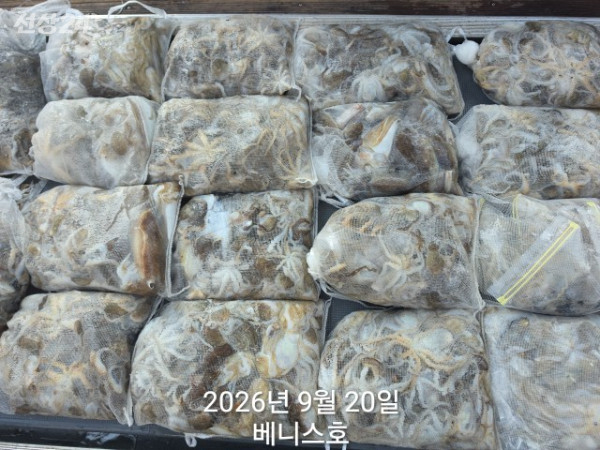 KakaoTalk_20260920_162042418_03.jpg