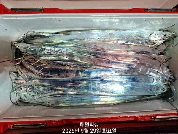 1000037061.jpg