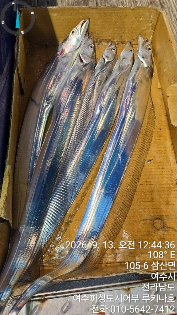 1789255697262.jpg
