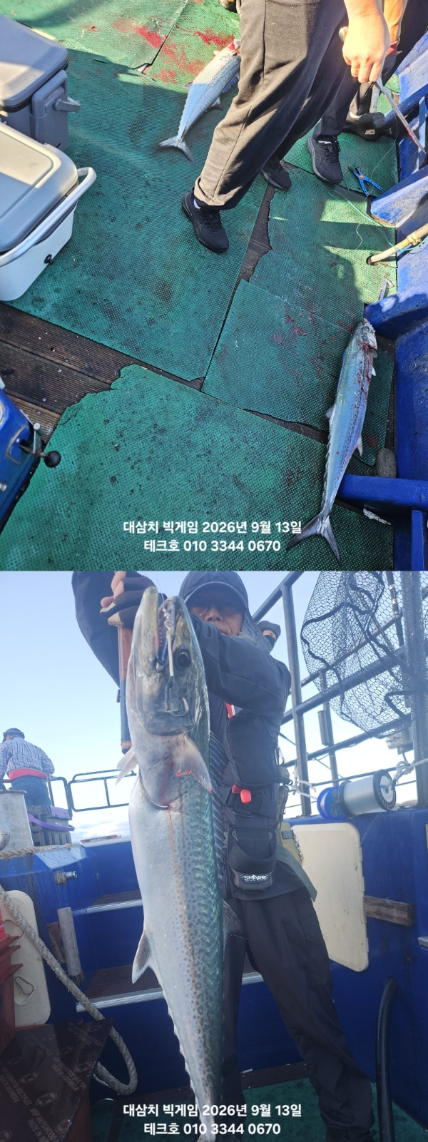 KakaoTalk_20260913_082428754_02-vert.jpg