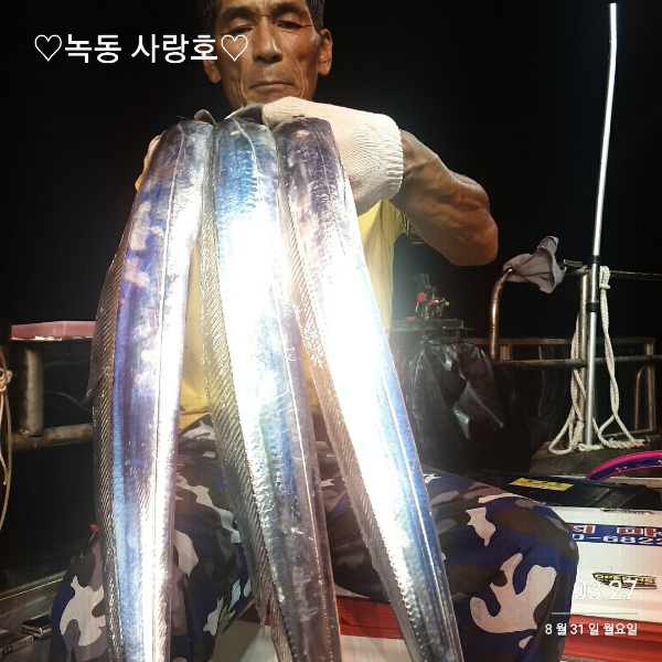 4041.jpg