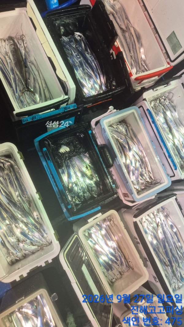 74077.jpg