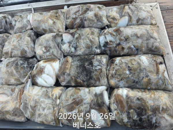 KakaoTalk_20260926_162037165_03.jpg