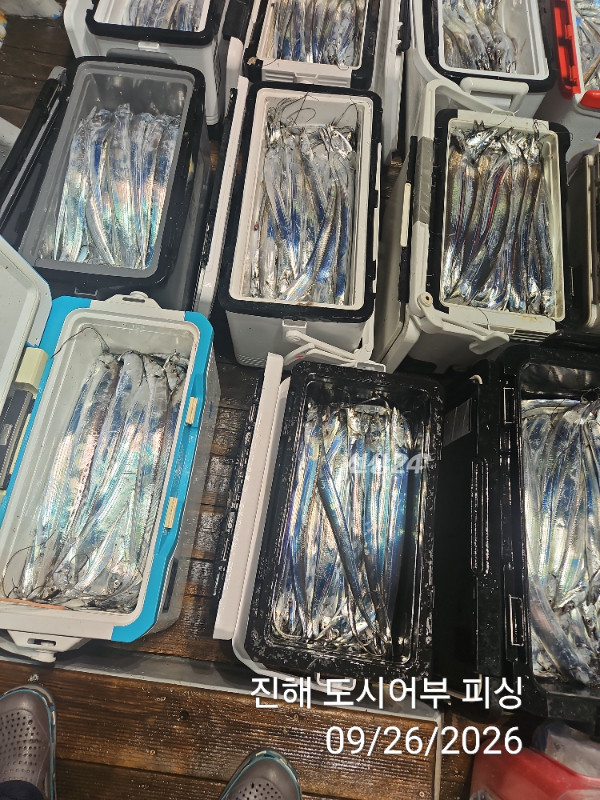 KakaoTalk_20260926_044028225_12.jpg