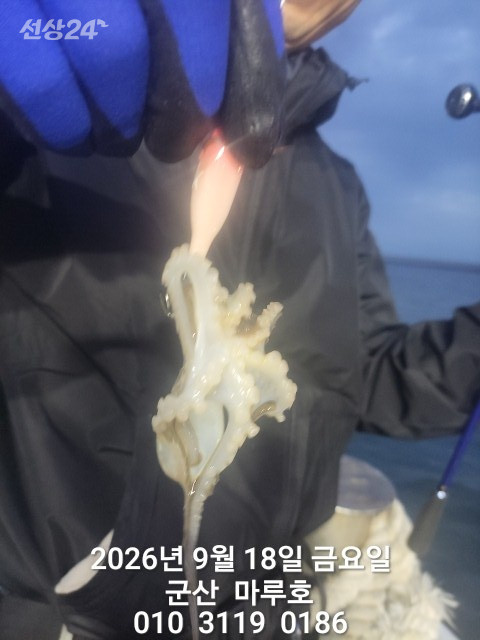 KakaoTalk_20260918_072314784_02.jpg