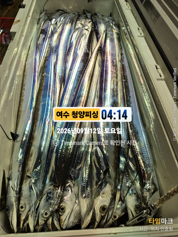 2026-09-12 04.14.09__(제목-여수 청양피싱).jpg
