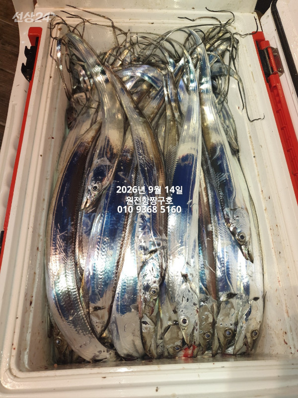 KakaoTalk_20260914_114003950_01.jpg