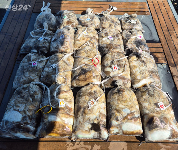 KakaoTalk_Image_2026-09-20-16-16-44_002.jpeg