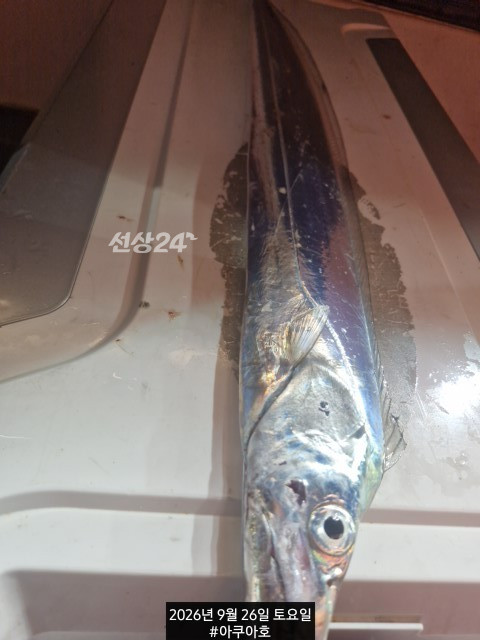 1790426151202.jpg