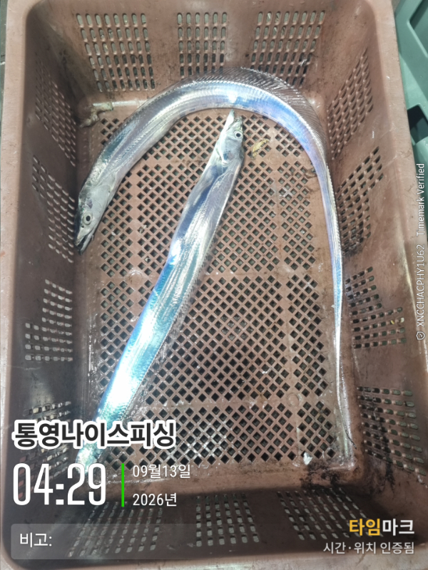 2026-09-13 04.29.34__(통영나이스피싱)_(비고-).jpg